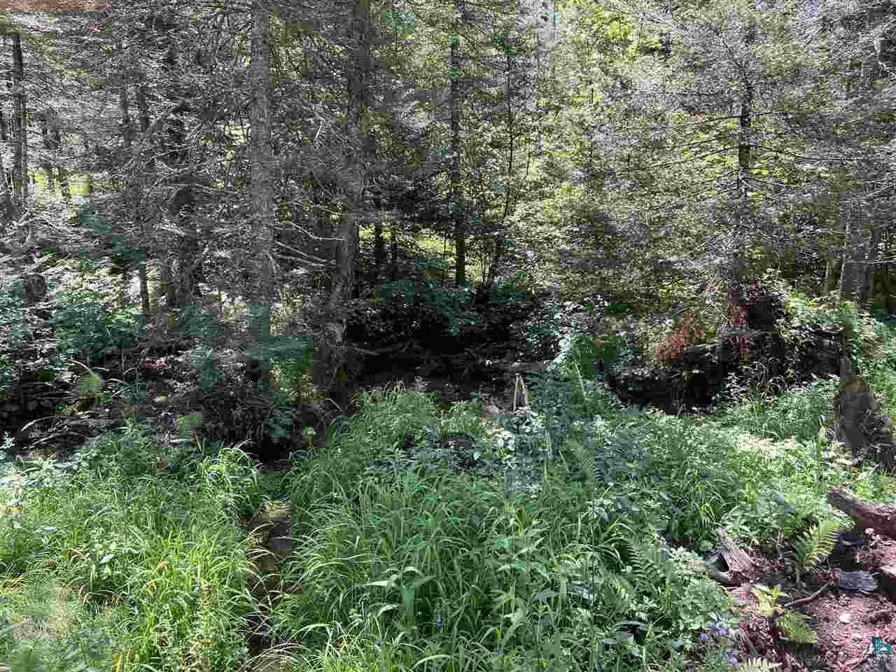 2098 Fors Road Two Harbors, MN 55616 - Photo 5 of 5