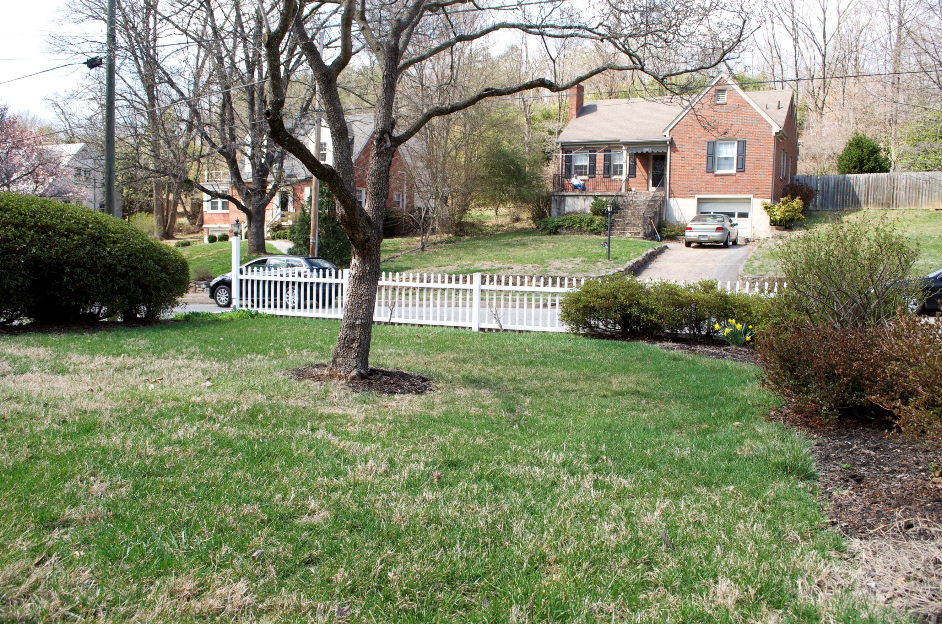 3006 Corbieshaw Road Southwest Roanoke, VA 24015 - Photo 5 of 47 Flat Front Yard