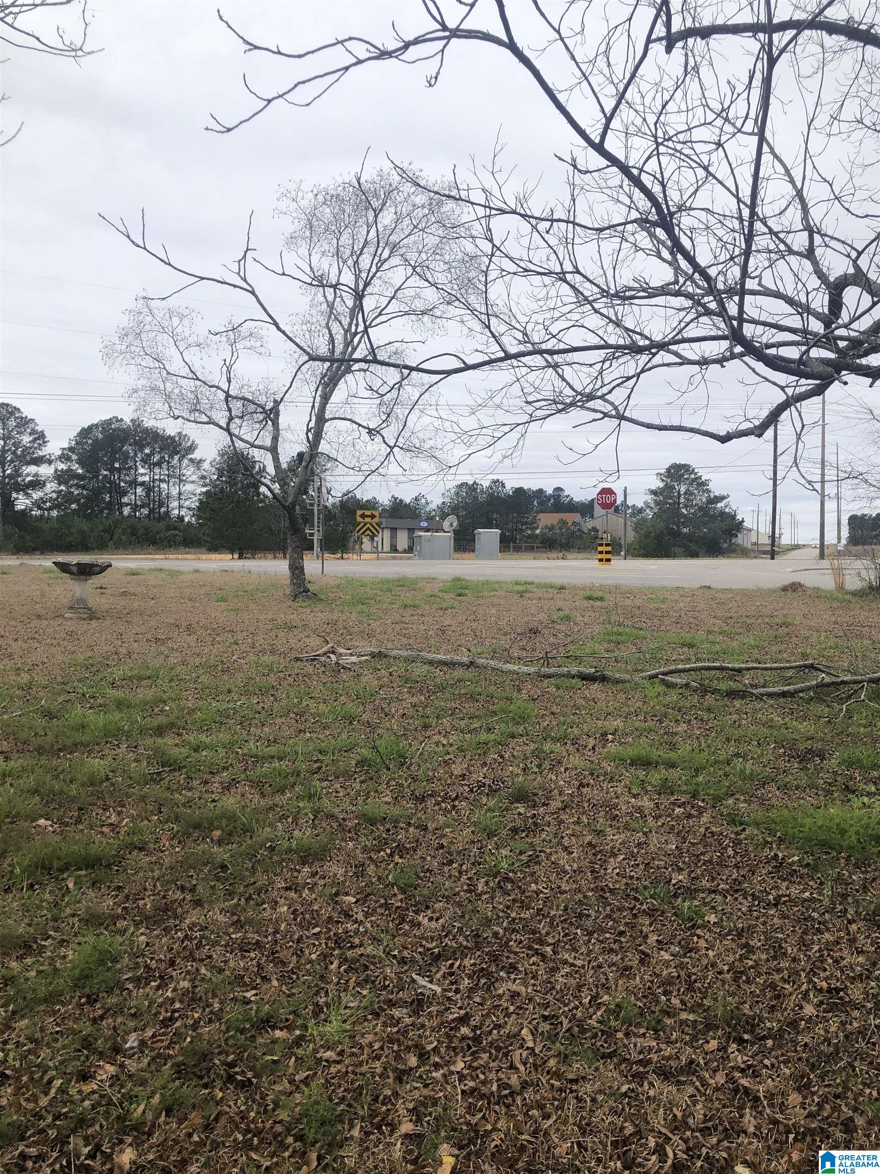 71 County Road Thorsby, AL 35171 - Photo 2 of 16