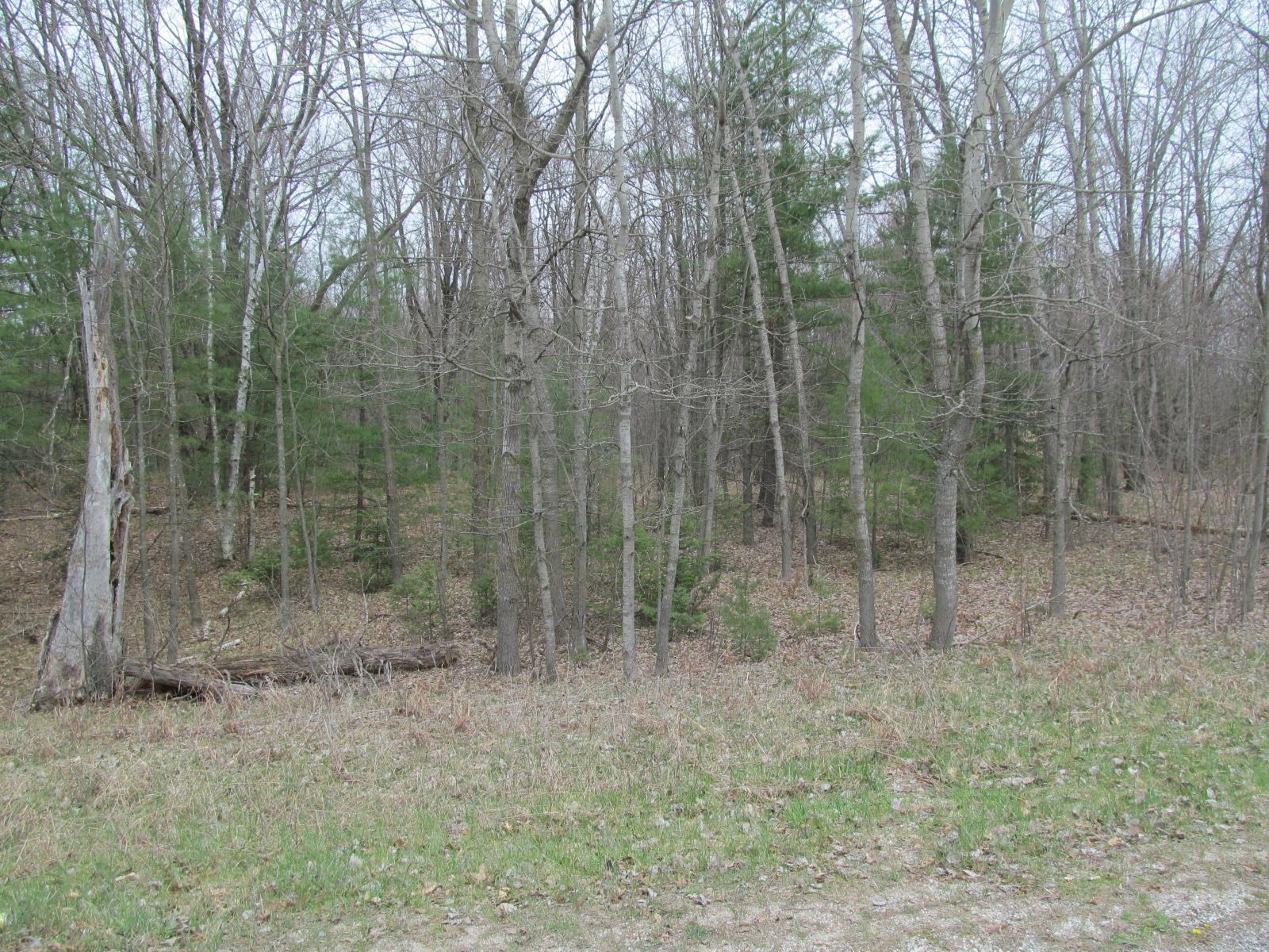 Lot 9 West Blue Road, Unit RIVER WOODS ESTATES #1 LO McBain, MI 49657 - Photo 6 of 6 Gallery Image 6