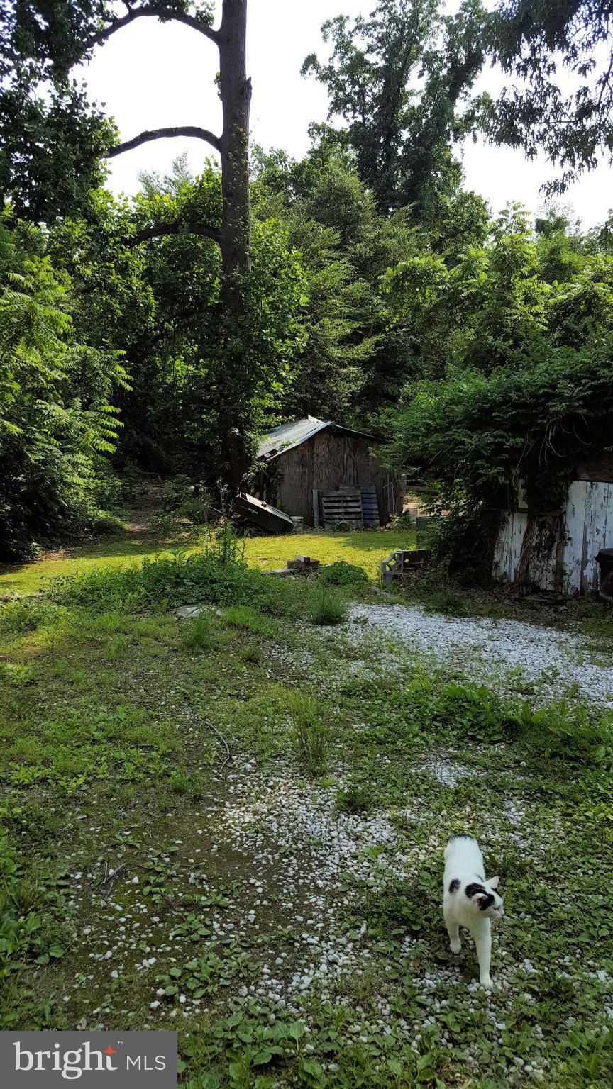 904 Frankewitz Road Baltimore, MD 21221 - Photo 4 of 13 Exterior (General)