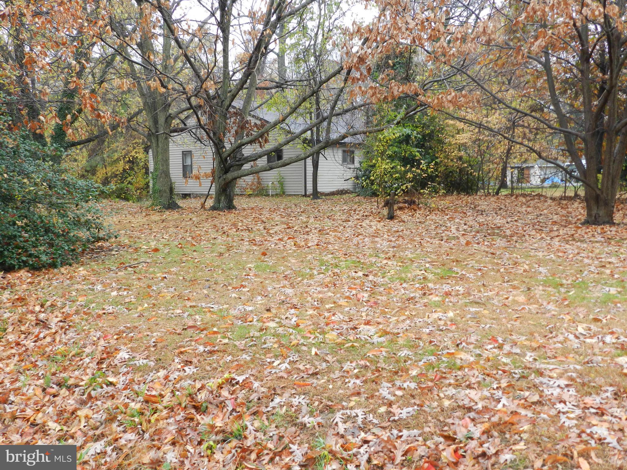 904 Frankewitz Road Baltimore, MD 21221 - Photo 5 of 13 Exterior (General)