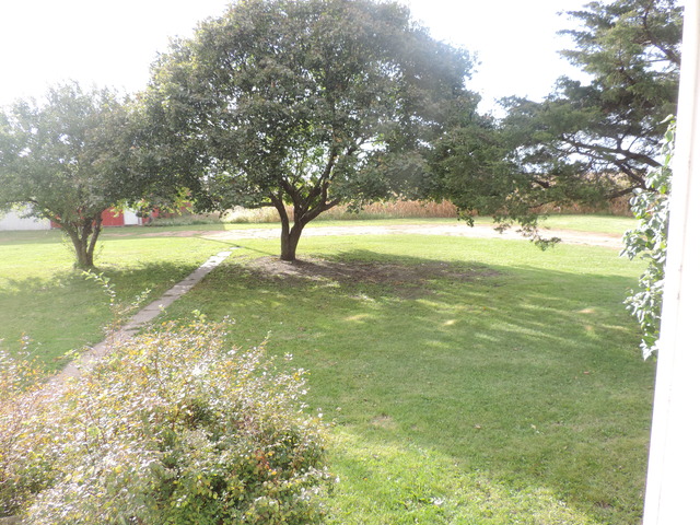 11525 South Dwight Road Dwight, IL 60420 - Photo 3 of 21 a view of an trees from a yard