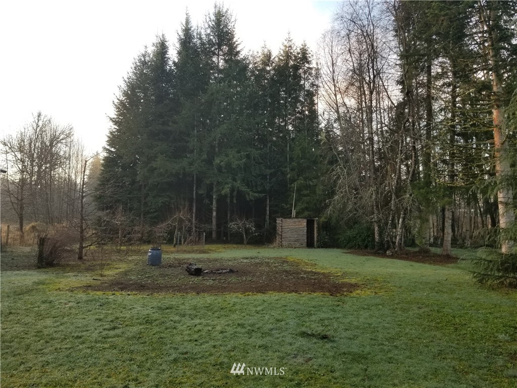 169 Damron Road Mossyrock, WA 98564 - Photo 4 of 11 Gallery Image 4