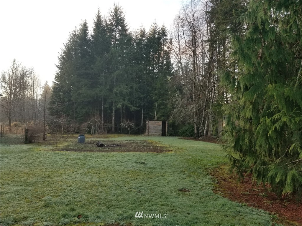 169 Damron Road Mossyrock, WA 98564 - Photo 5 of 11 Gallery Image 5