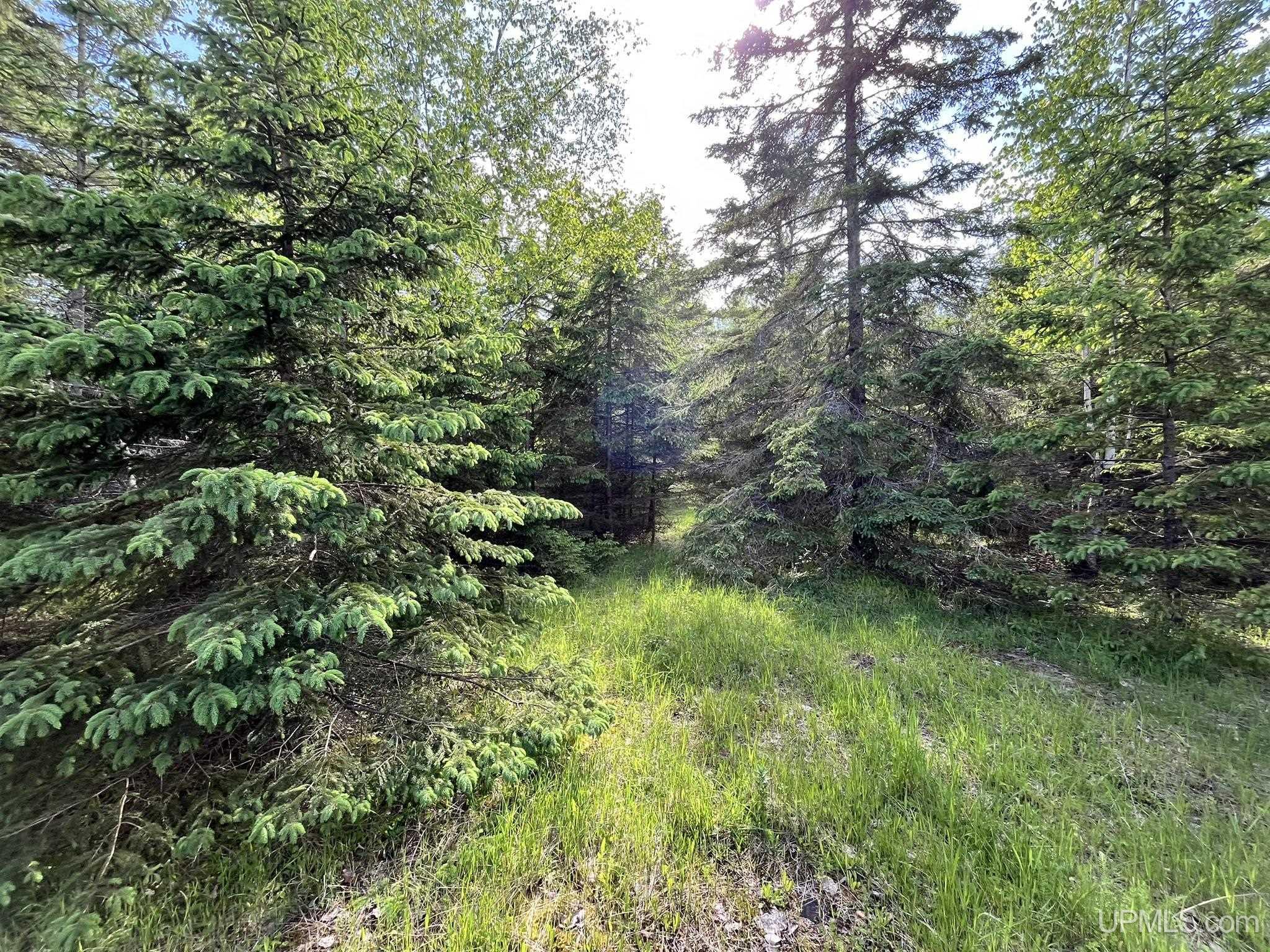 Tbd 16th Road Garden, MI 49835 - Photo 25 of 37