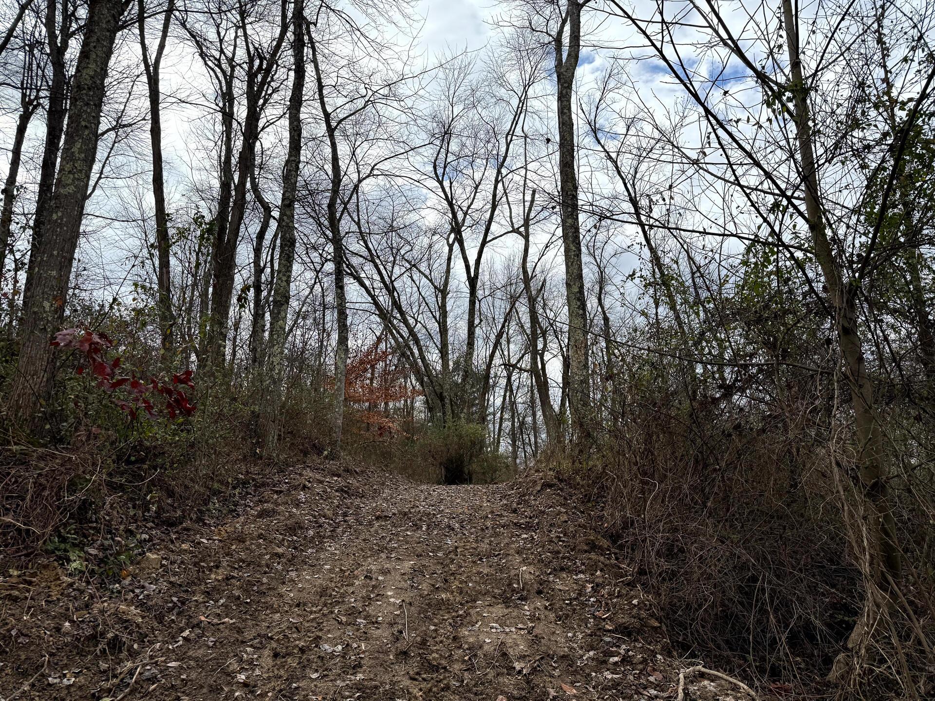 0 Dutch Ridge Road Southeast, Unit WOODS TURKEY RUN TRACT 1) New Lexington, OH 43764 - Photo 32 of 43 CT-32