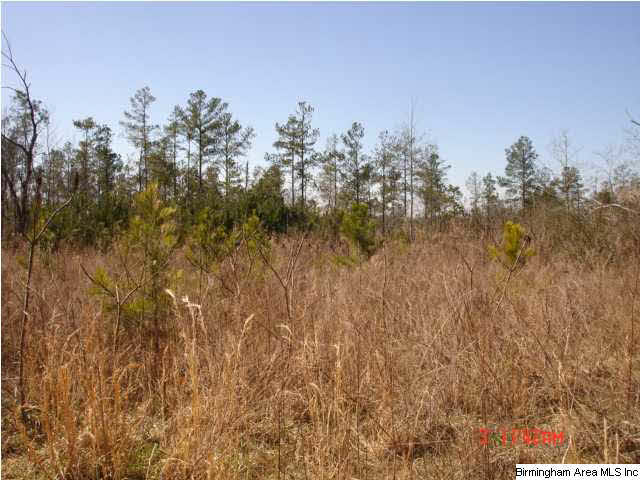 431 Highway Ac Al, Unit 46 Wedowee, AL 36278 - Photo 2 of 4