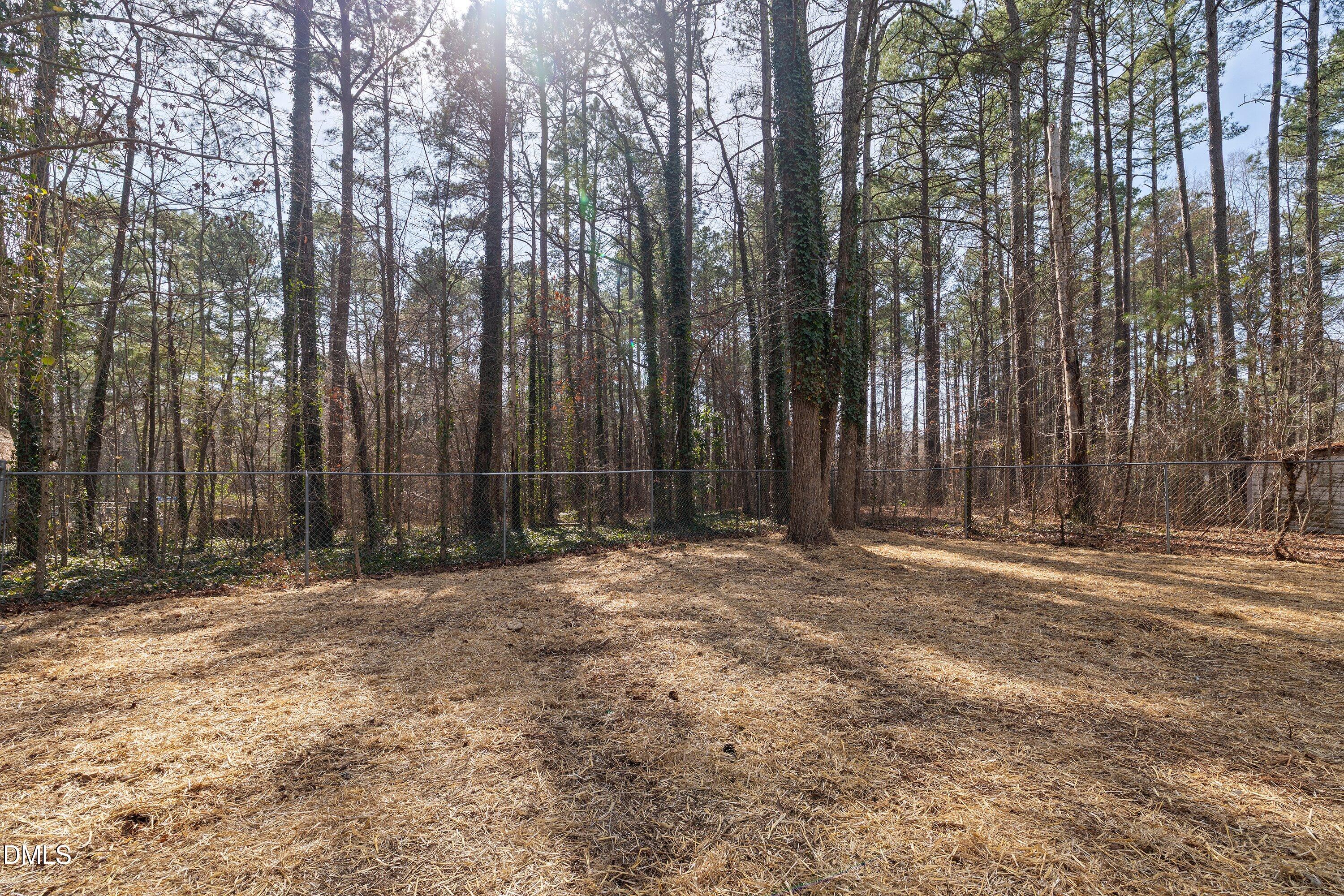 103 Callaway Lane Selma, NC 27576 - Photo 38 of 43 a view of outdoor space with trees