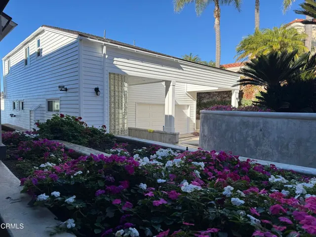 a view of a flowers in front of flowers