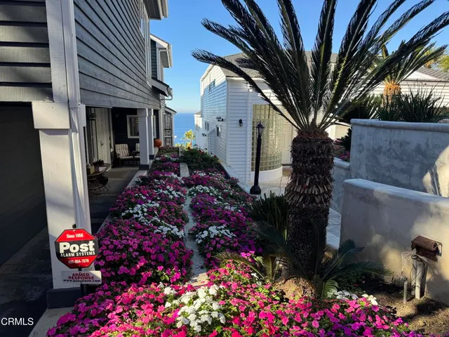 a bunch of flowers are in front of house
