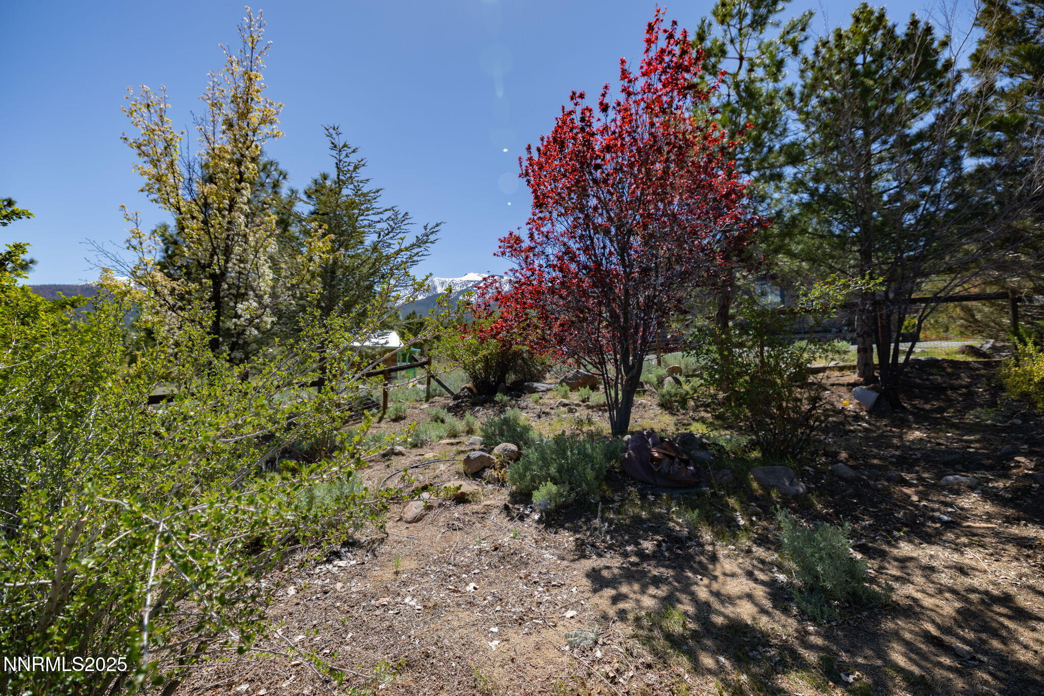 16360 Jefte Court Reno, NV 89511 - Photo 65 of 67 34-web-or-mls-16360 Jefte Court-34