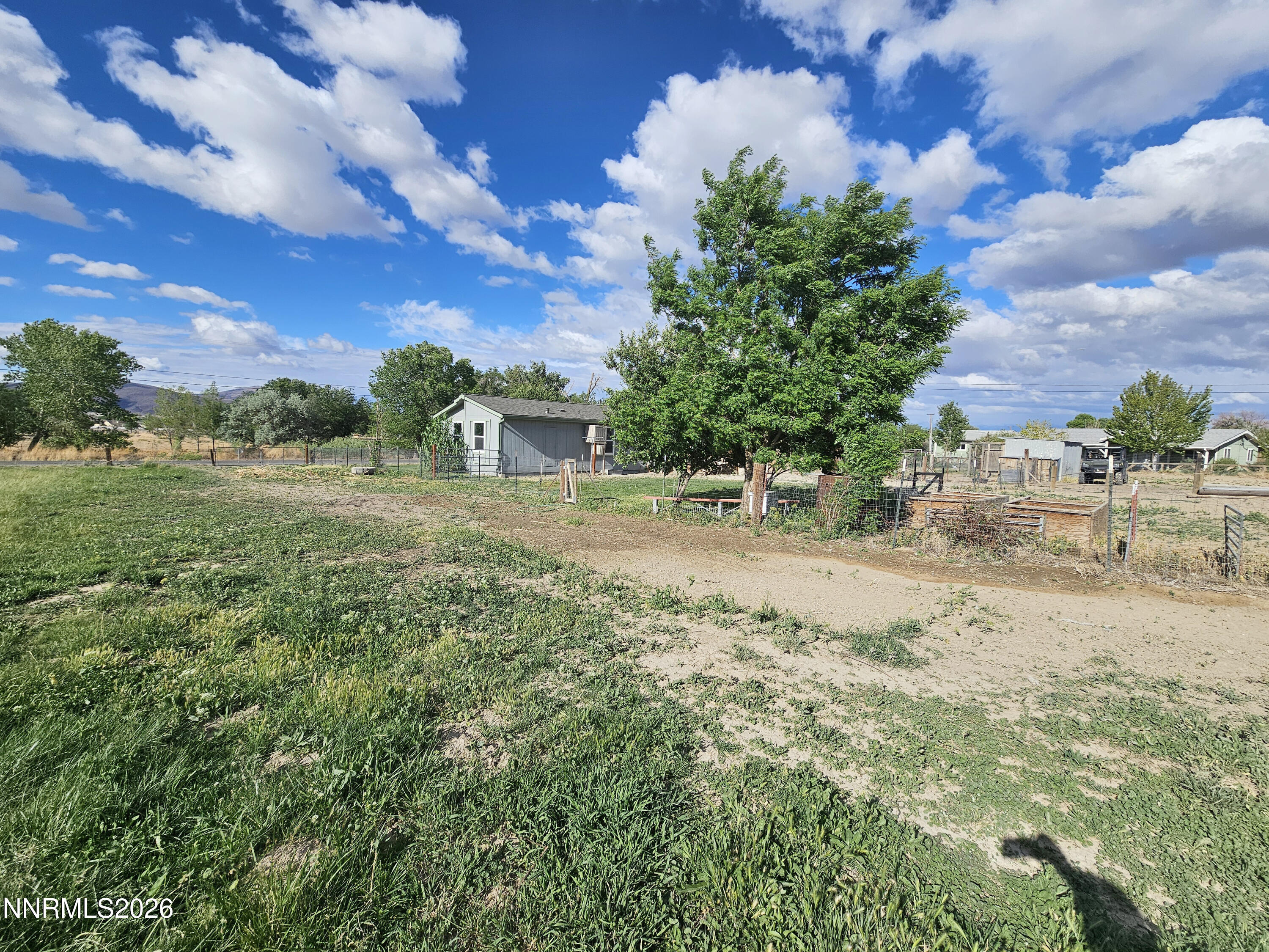 1125 Rancho Road Fernley, NV 89408 - Photo 37 of 47 a view of yard with tree