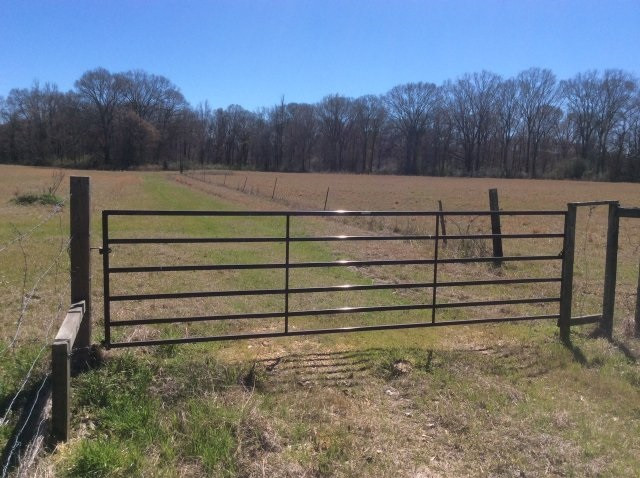 3848 Old Jackson Road Terry, MS 39170 - Photo 3 of 3 Photo 3