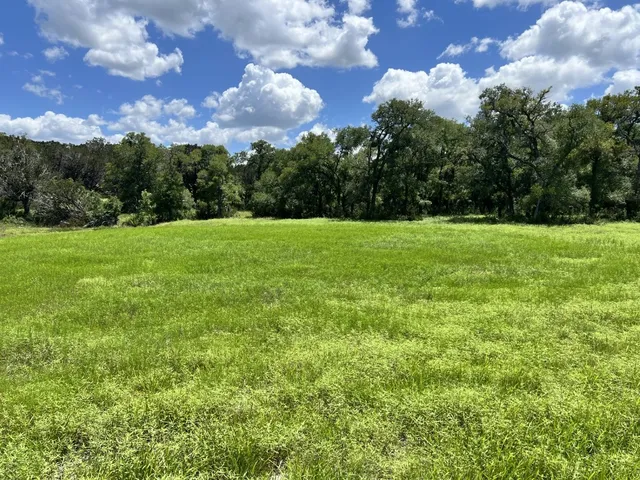 a view of field with trees in the background