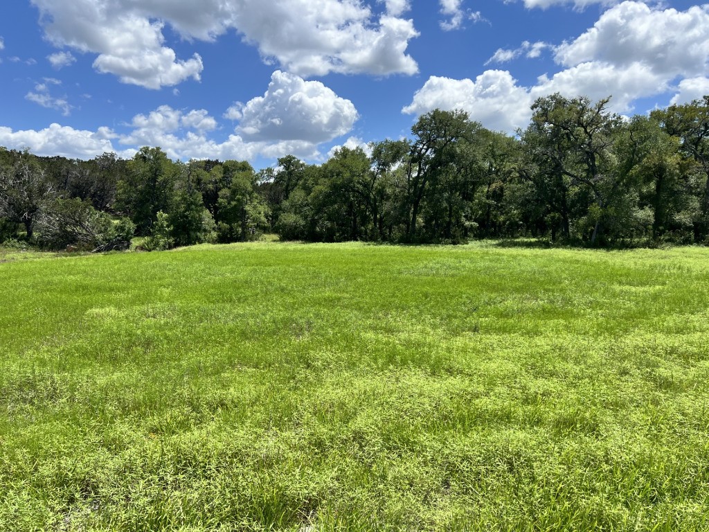 Lot 1 Riparian Elm Road Bertram, TX 78605 - Photo 1 of 9 a view of field with trees in the background
