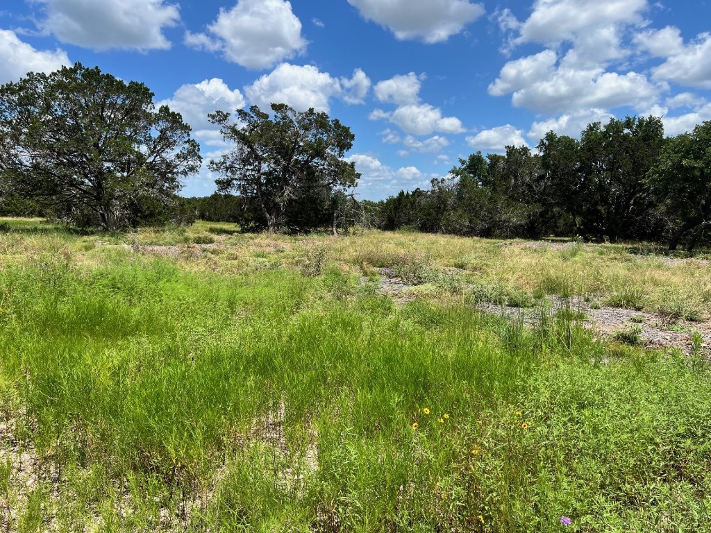 Lot 1 Riparian Elm Road Bertram, TX 78605 - Photo 2 of 9