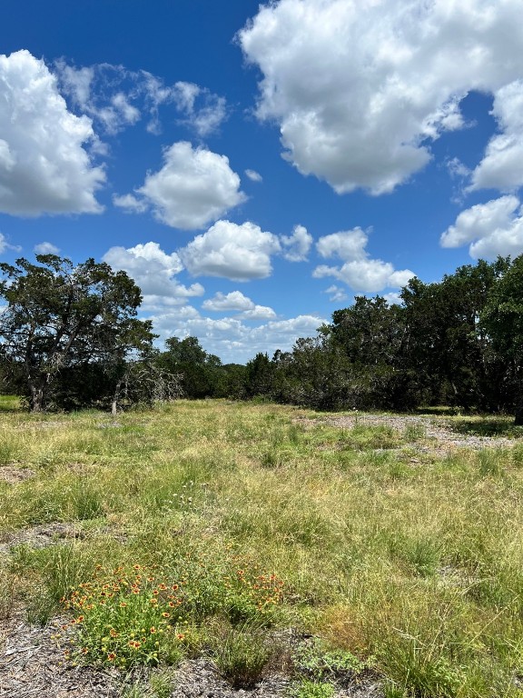 Lot 1 Riparian Elm Road Bertram, TX 78605 - Photo 4 of 9 a view of a lake view
