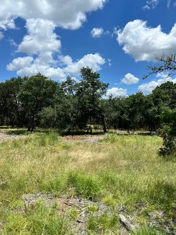a view of a lake from a yard