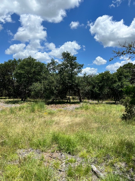 Lot 1 Riparian Elm Road Bertram, TX 78605 - Photo 5 of 9 a view of a yard