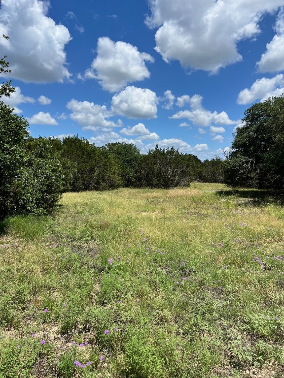 Lot 1 Riparian Elm Road Bertram, TX 78605 - Photo 6 of 9 a view of a lake from a yard