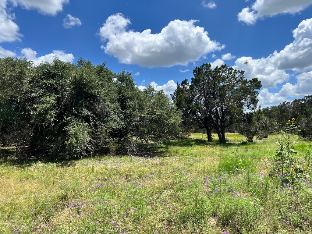 Lot 1 Riparian Elm Road Bertram, TX 78605 - Photo 7 of 9 a view of a yard with large trees