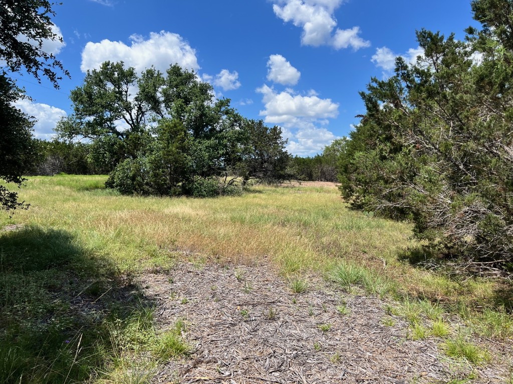 Lot 1 Riparian Elm Road Bertram, TX 78605 - Photo 8 of 9 a view of a field with an trees