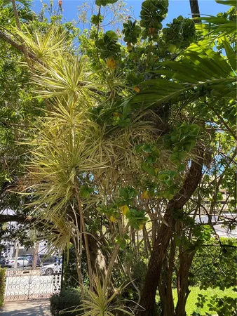 $1,950 | 40 Almeria Avenue, Unit 16, Coral Gables, FL 33134
