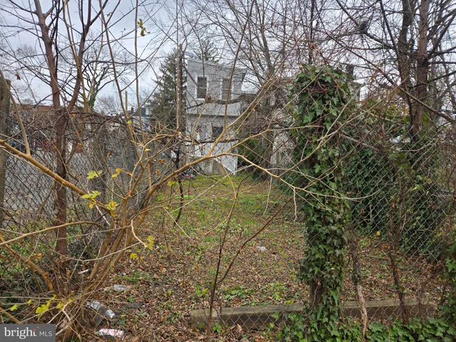 a view of road with large trees