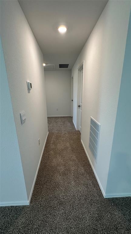 204 Inks Lane Kyle, TX 78640 - Photo 22 of 25 A well-lit corridor with inviting carpet flooring leads to various living spaces.