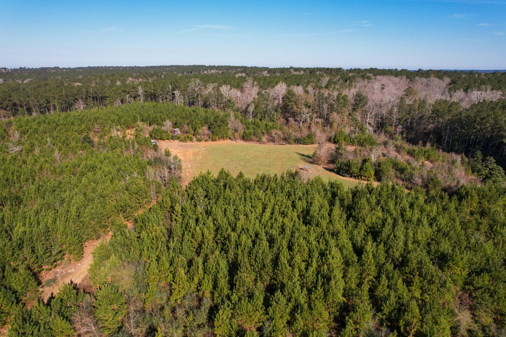 3822 Rollinson Road Meadville, MS 39653 - Photo 37 of 45 Photo 37