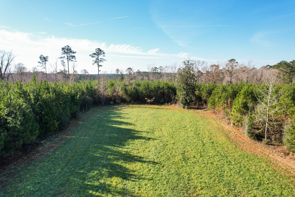 3822 Rollinson Road Meadville, MS 39653 - Photo 8 of 45 Photo 8