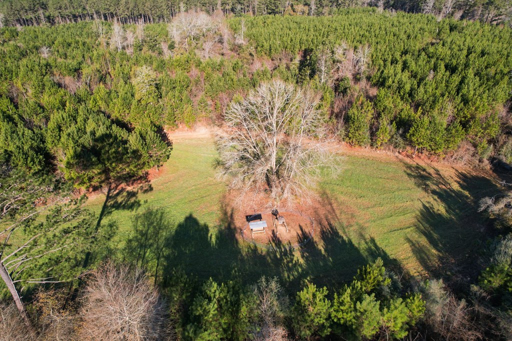 3822 Rollinson Road Meadville, MS 39653 - Photo 9 of 45 Photo 9