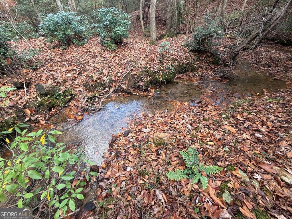 811 Magnums Trail Blue Ridge, GA 30513 - Photo 21 of 58