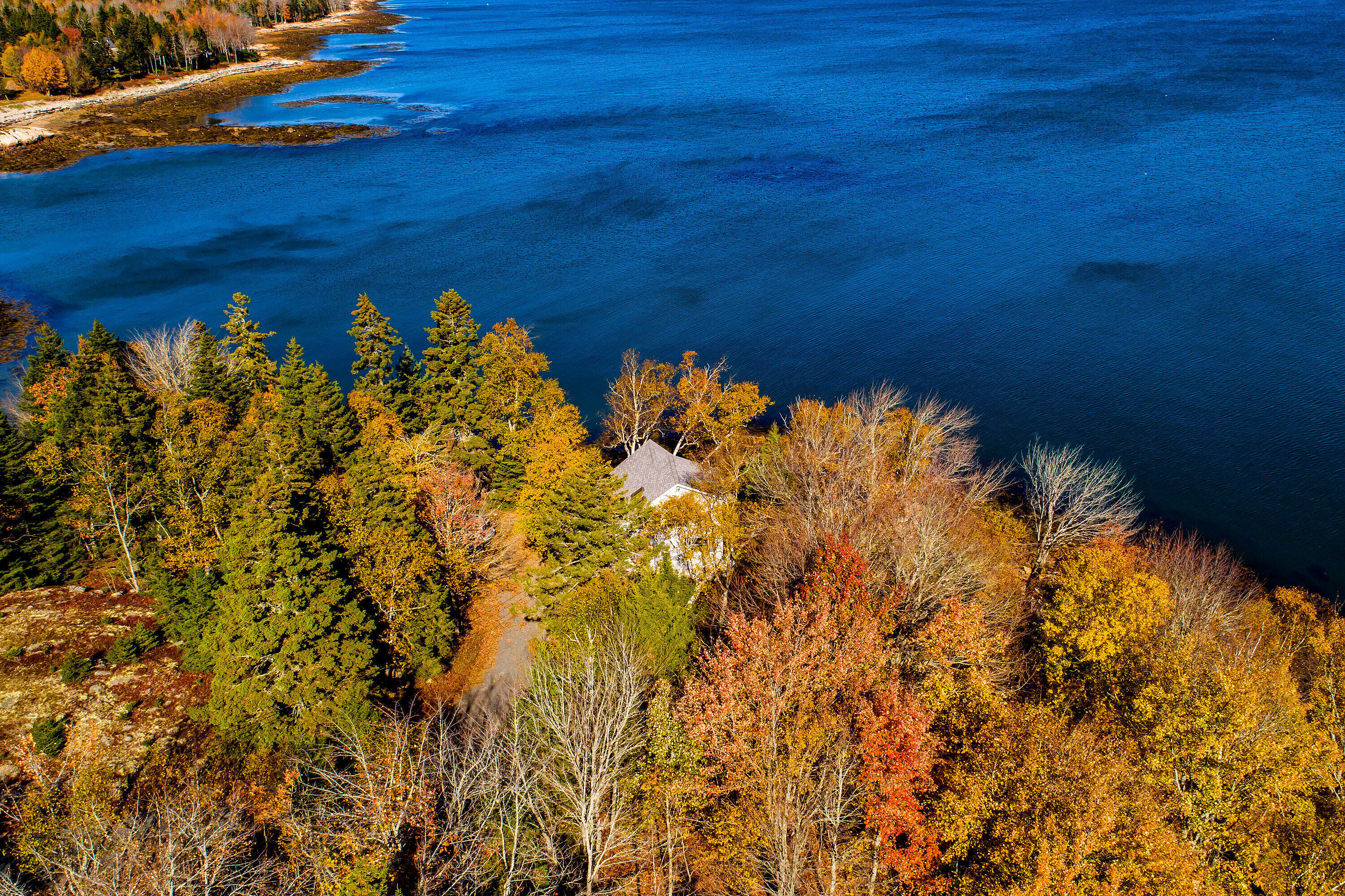 219 Paul Bunyan Road Gouldsboro, ME 04624 - Photo 6 of 27 219 PBR facing bay