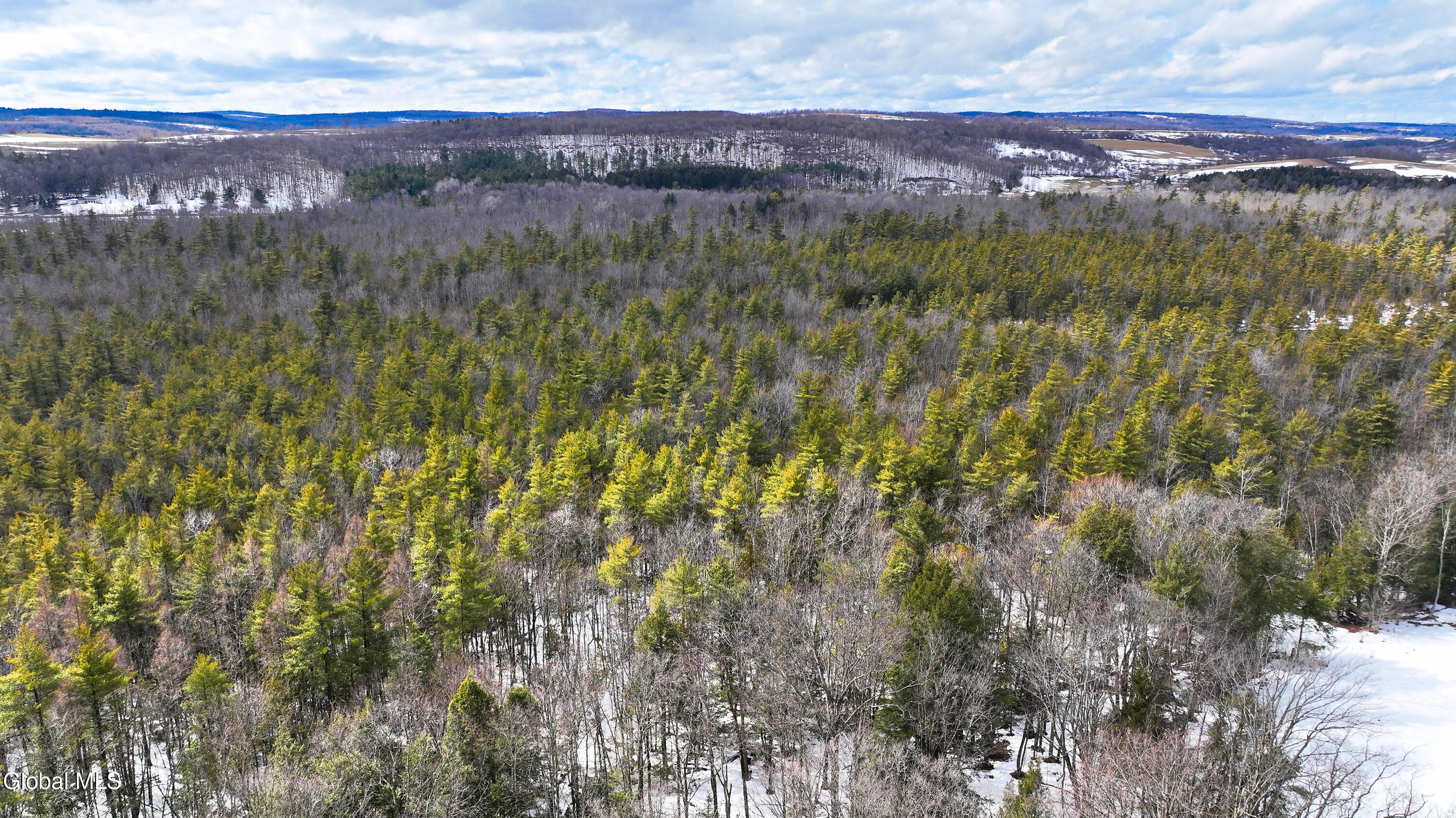 L2.5 Swamp Road Morrisville, NY 13408 - Photo 11 of 51 Swamp Rd Northern Parcel-21