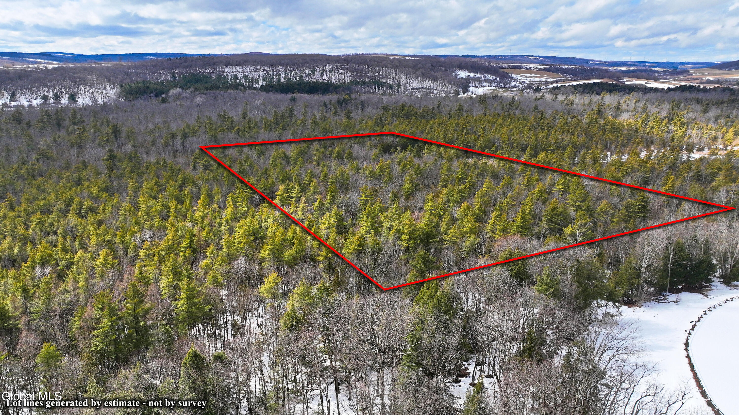 L2.5 Swamp Road Morrisville, NY 13408 - Photo 12 of 51 Swamp Rd Northern Parcel-20 - Lot lines