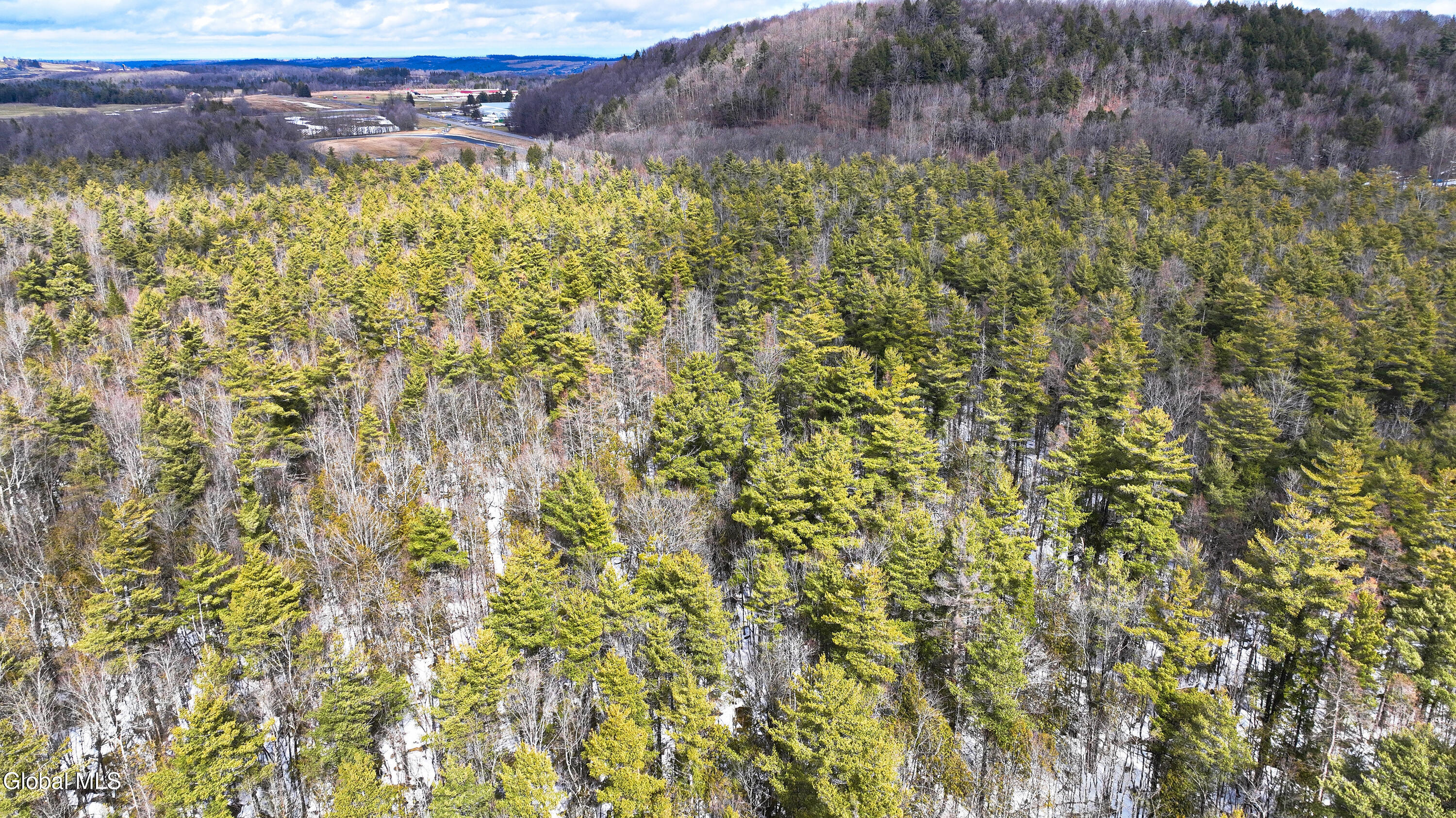 L2.5 Swamp Road Morrisville, NY 13408 - Photo 13 of 51 Swamp Rd Northern Parcel-18