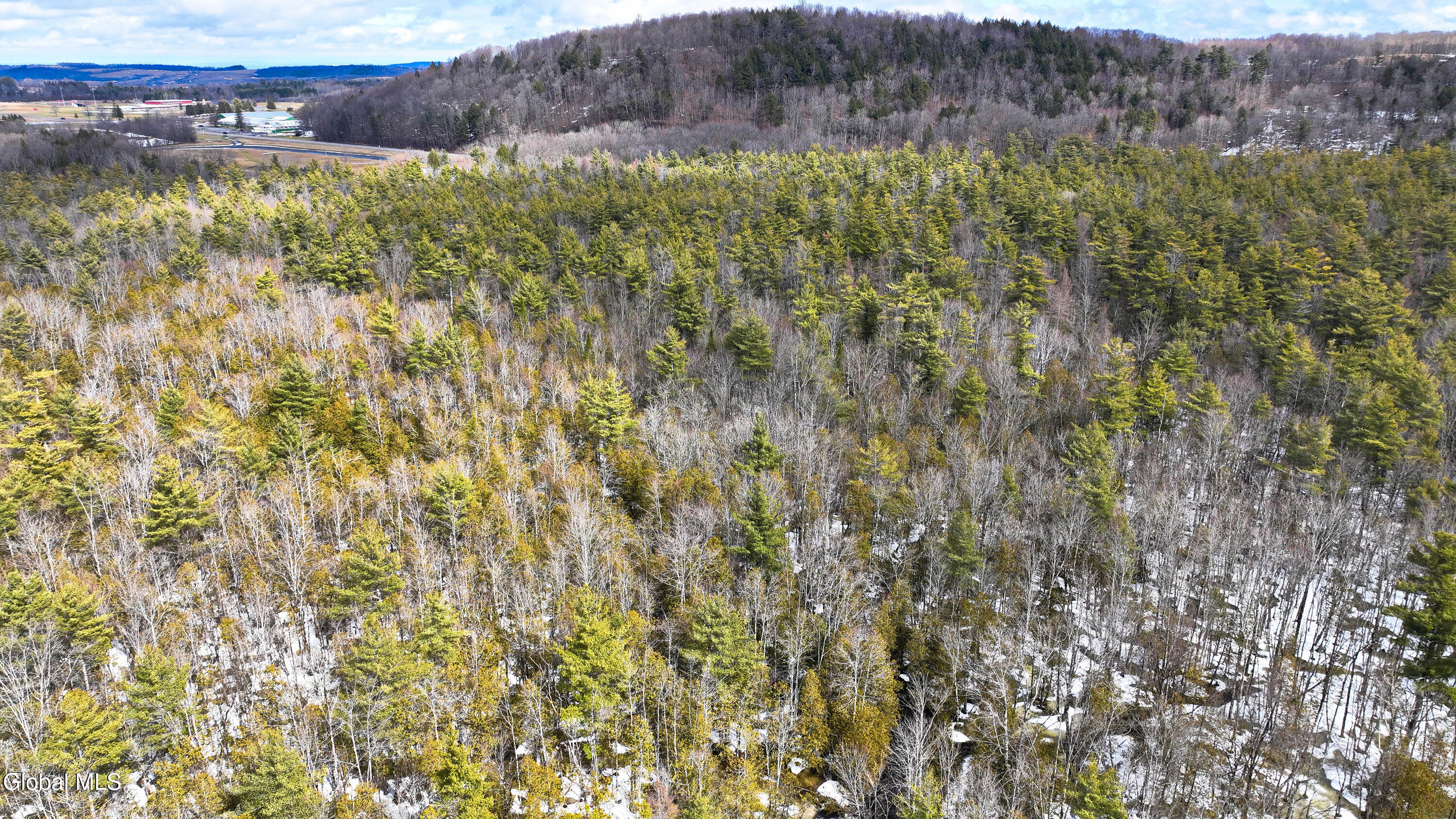 L2.5 Swamp Road Morrisville, NY 13408 - Photo 14 of 51 Swamp Rd Northern Parcel-17