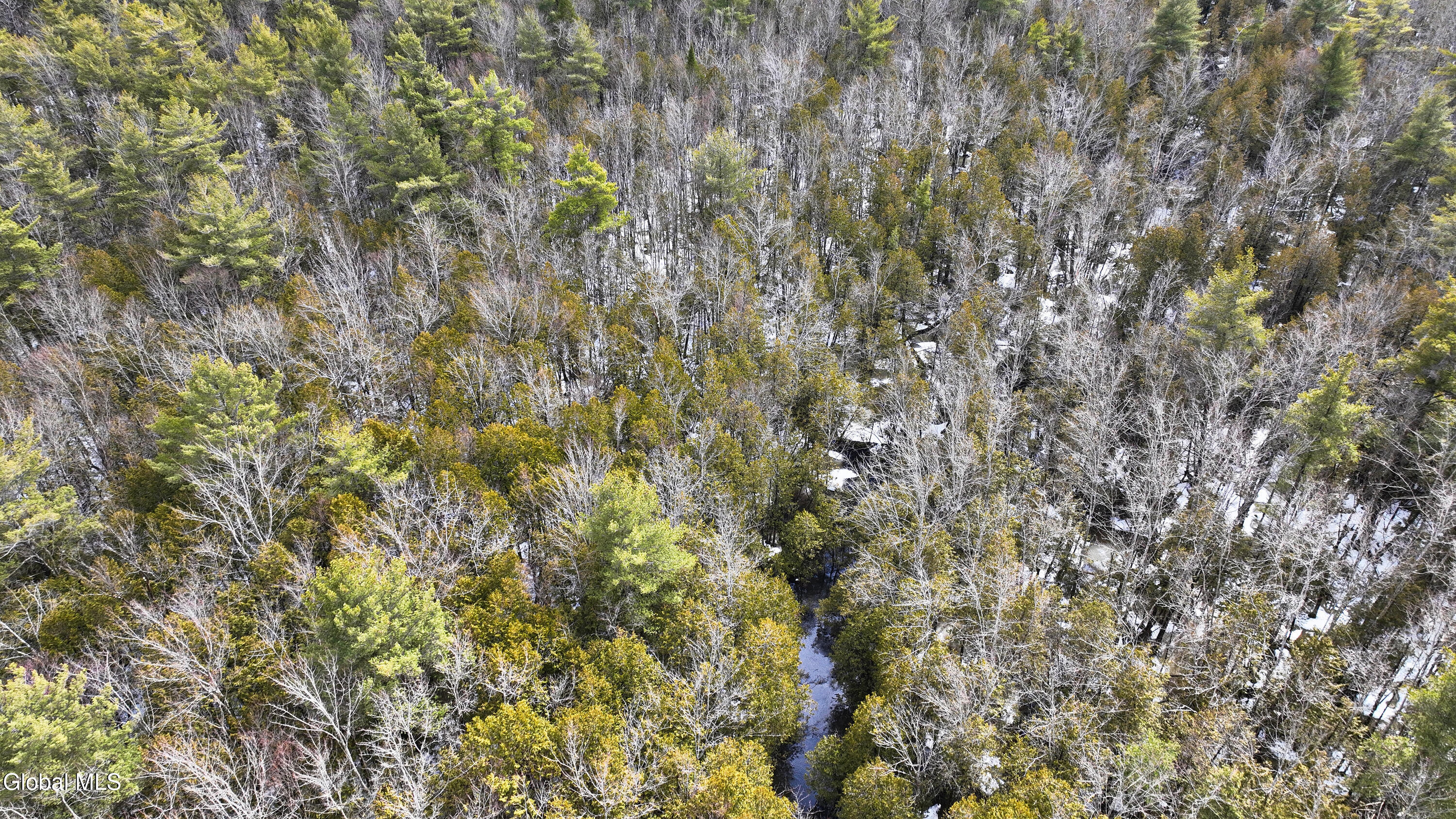 L2.5 Swamp Road Morrisville, NY 13408 - Photo 15 of 51 Swamp Rd Northern Parcel-16