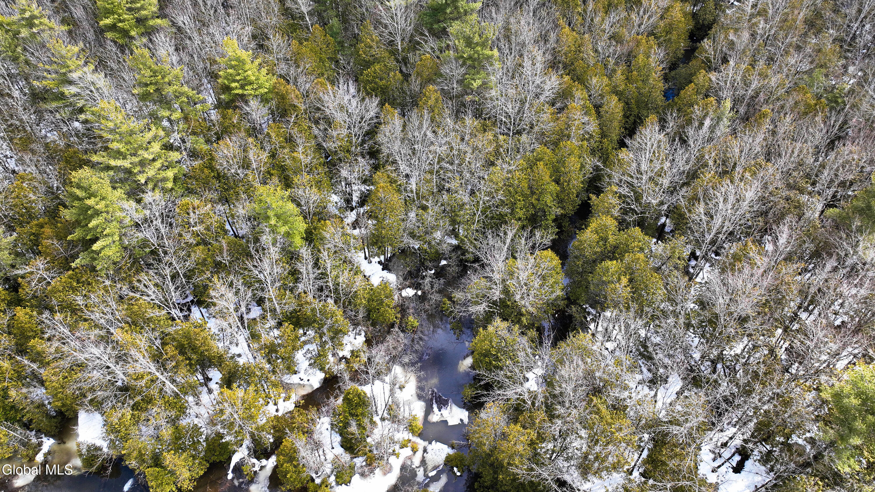 L2.5 Swamp Road Morrisville, NY 13408 - Photo 16 of 51 Swamp Rd Northern Parcel-15