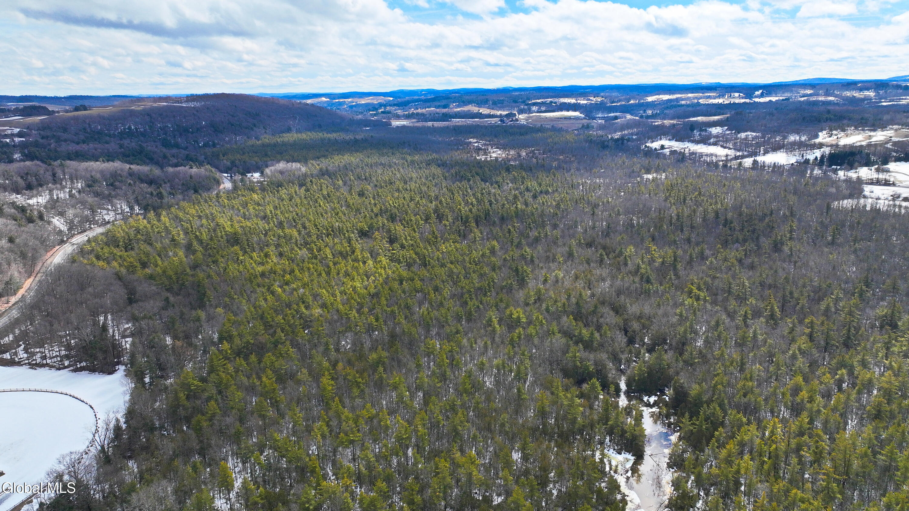 L2.5 Swamp Road Morrisville, NY 13408 - Photo 17 of 51 Swamp Rd Northern Parcel-12