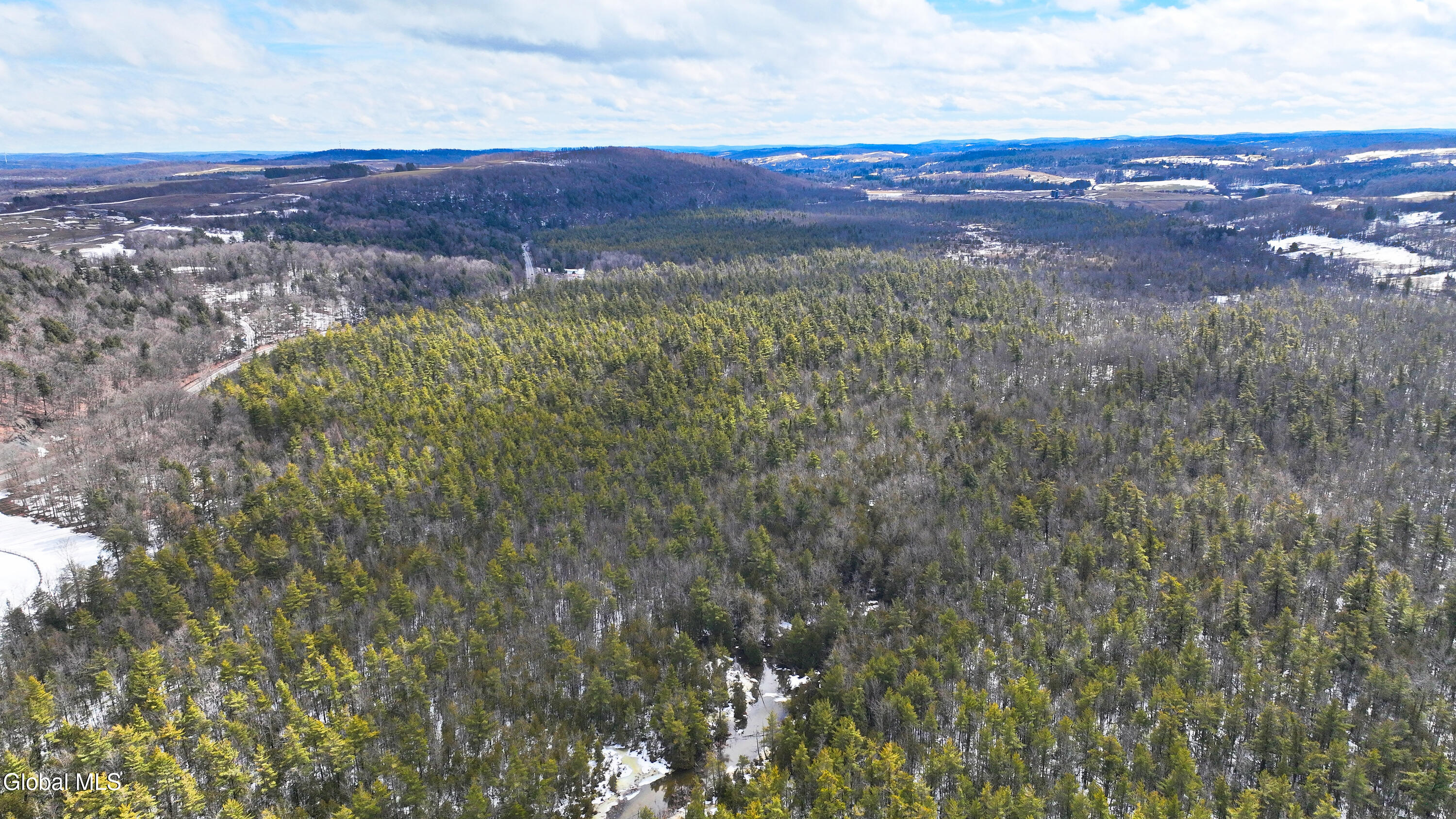 L2.5 Swamp Road Morrisville, NY 13408 - Photo 18 of 51 Swamp Rd Northern Parcel-11