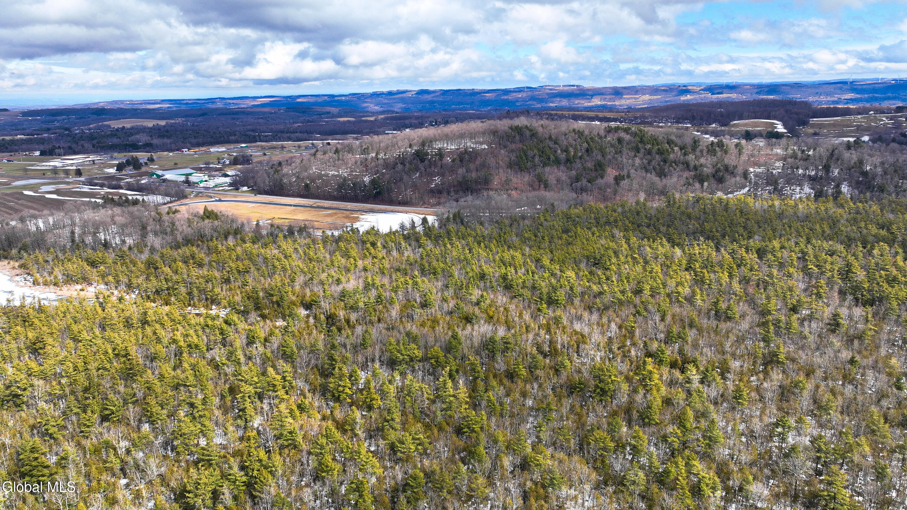 L2.5 Swamp Road Morrisville, NY 13408 - Photo 19 of 51 Swamp Rd Northern Parcel-10