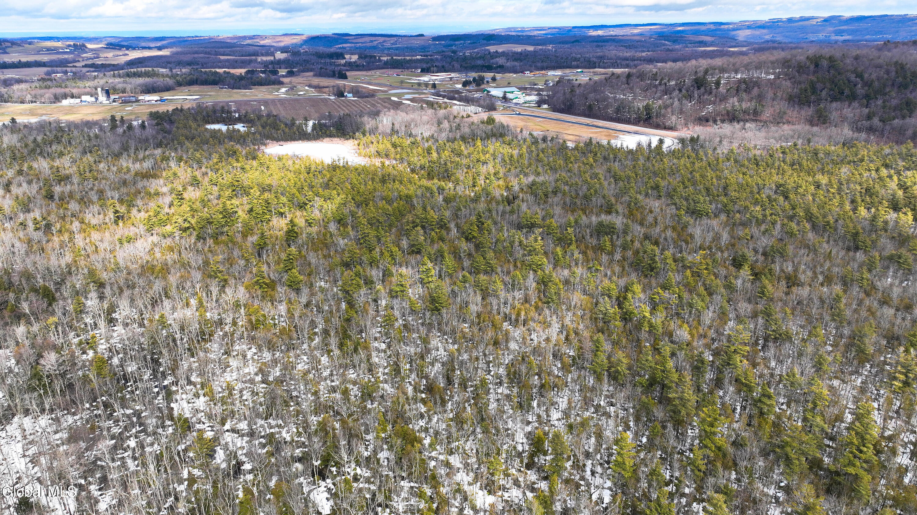 L2.5 Swamp Road Morrisville, NY 13408 - Photo 21 of 51 Swamp Rd Northern Parcel-8 (1)