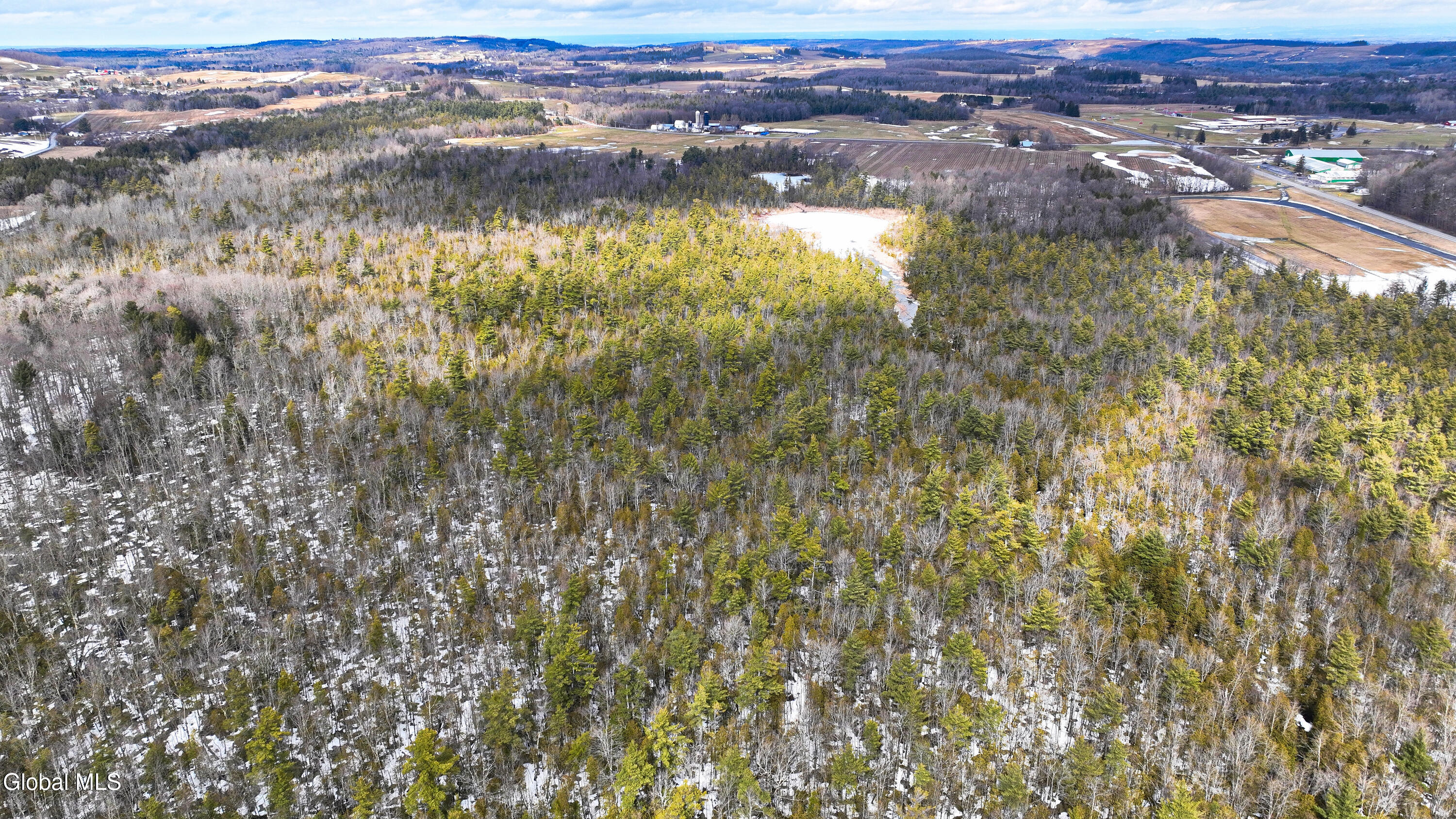 L2.5 Swamp Road Morrisville, NY 13408 - Photo 22 of 51 Swamp Rd Northern Parcel-7