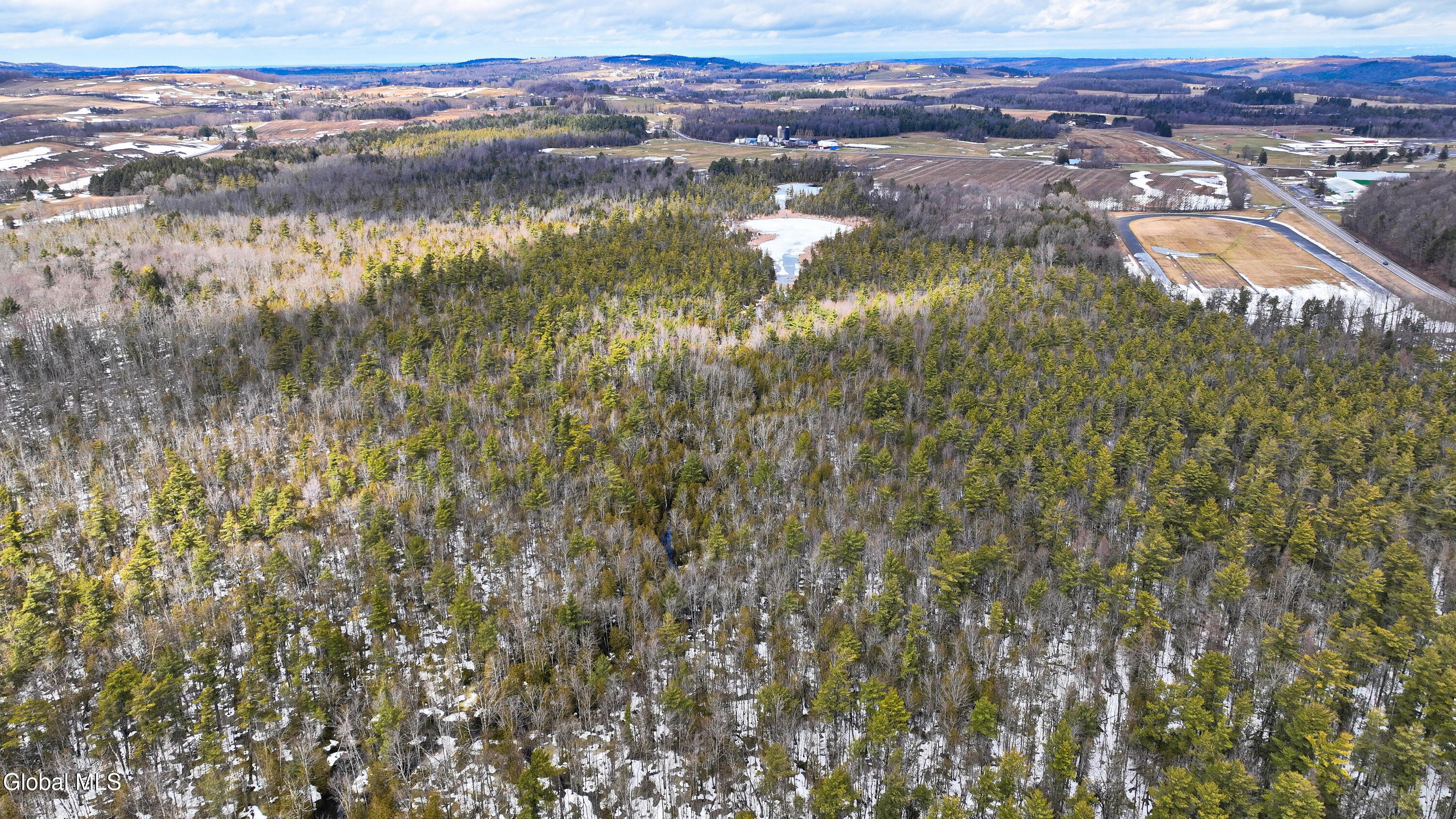 L2.5 Swamp Road Morrisville, NY 13408 - Photo 23 of 51 Swamp Rd Northern Parcel-6