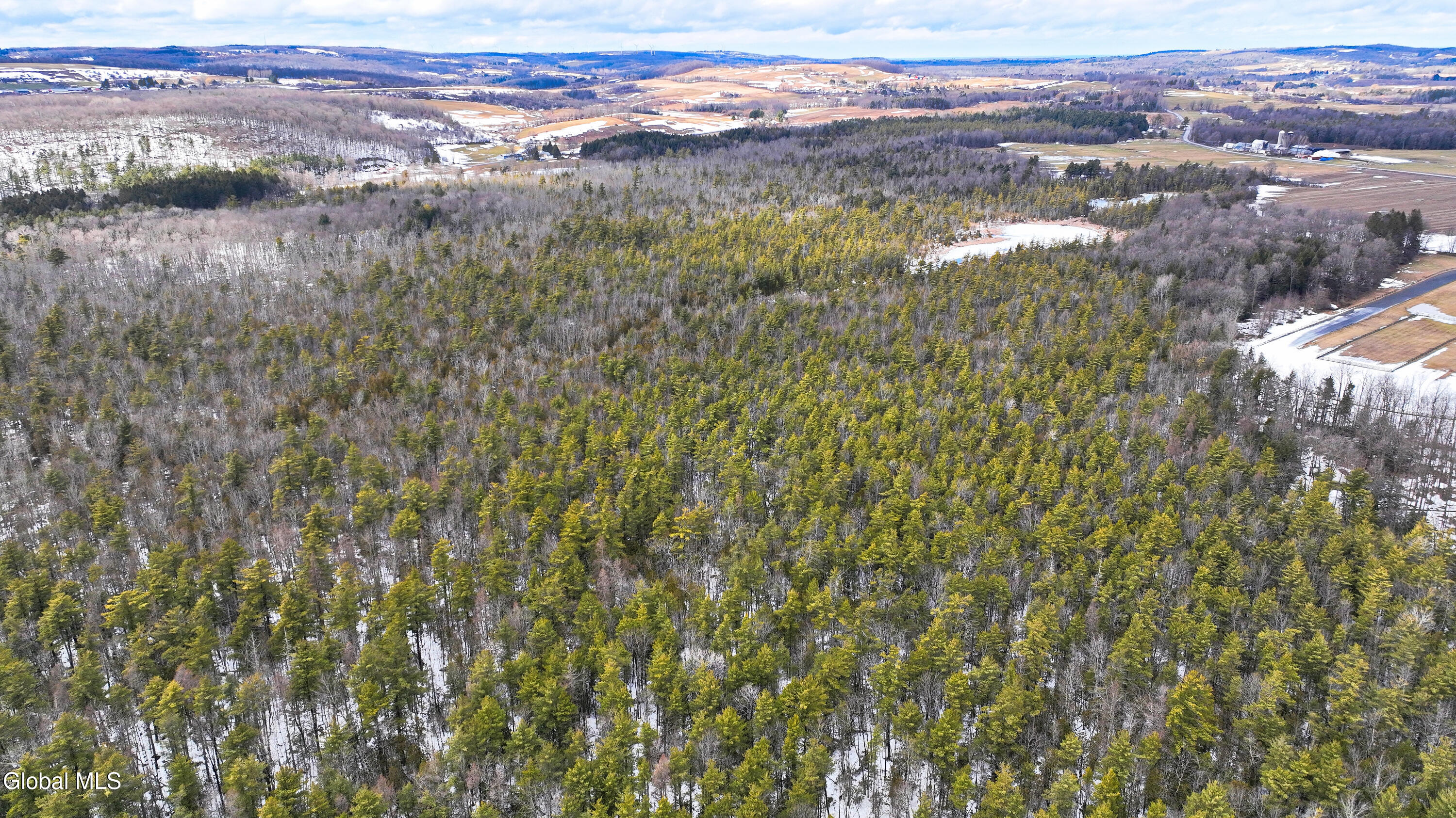 L2.5 Swamp Road Morrisville, NY 13408 - Photo 25 of 51 Swamp Rd Northern Parcel-4