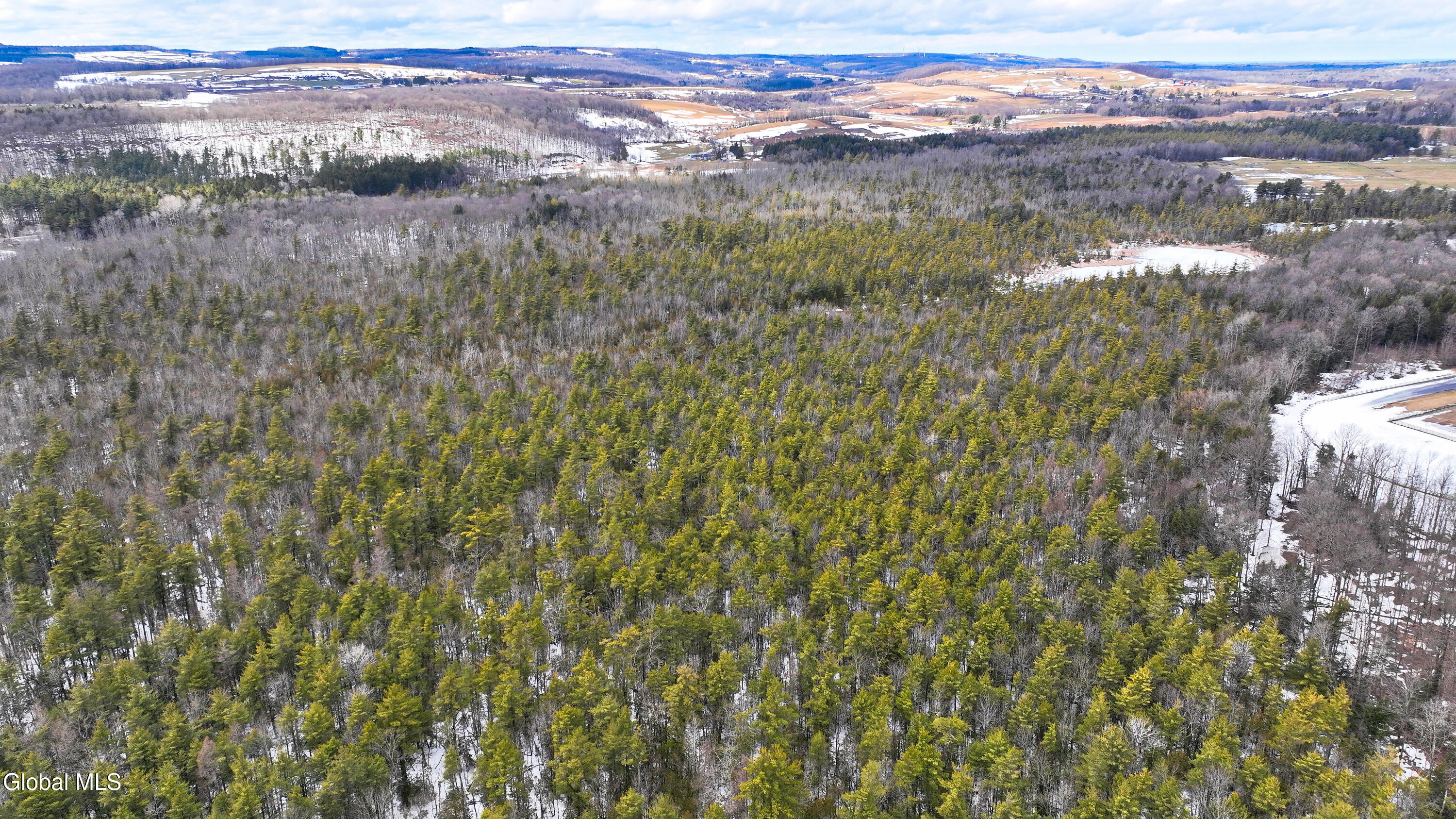 L2.5 Swamp Road Morrisville, NY 13408 - Photo 26 of 51 Swamp Rd Northern Parcel-3