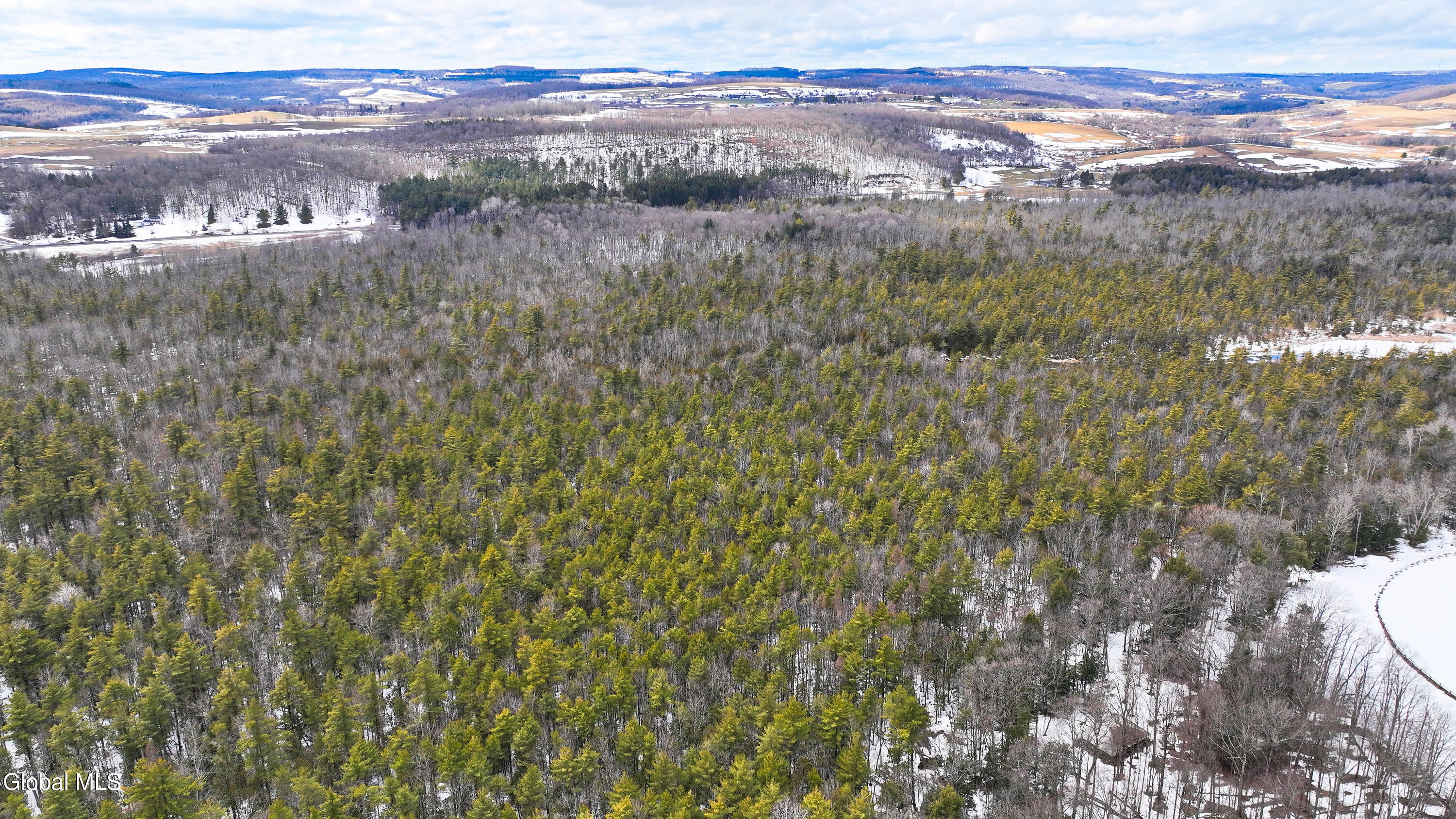 L2.5 Swamp Road Morrisville, NY 13408 - Photo 27 of 51 Swamp Rd Northern Parcel-2